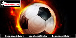 5 Cách Chọn Kèo Thơm Mỗi Ngày Dựa Vào Biến Động Tỷ Lệ